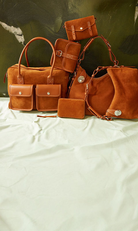 Collection Fauve