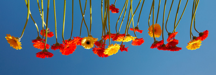 Sélection de Printemps