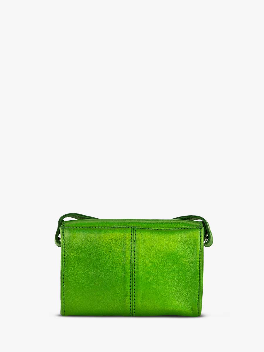 photo-vue-de-dos-sac-bandouliere-cuir-femme-vert-le-mini-indispensable-absinthe-paul-marius-w08s-gr-b