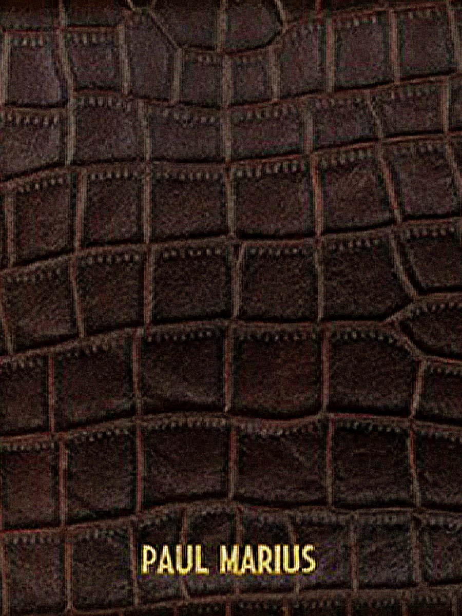 photo-matiere-sac-epaule-cuir-femme-lebaguette-alligator-marron-paul-marius-w29-a-db