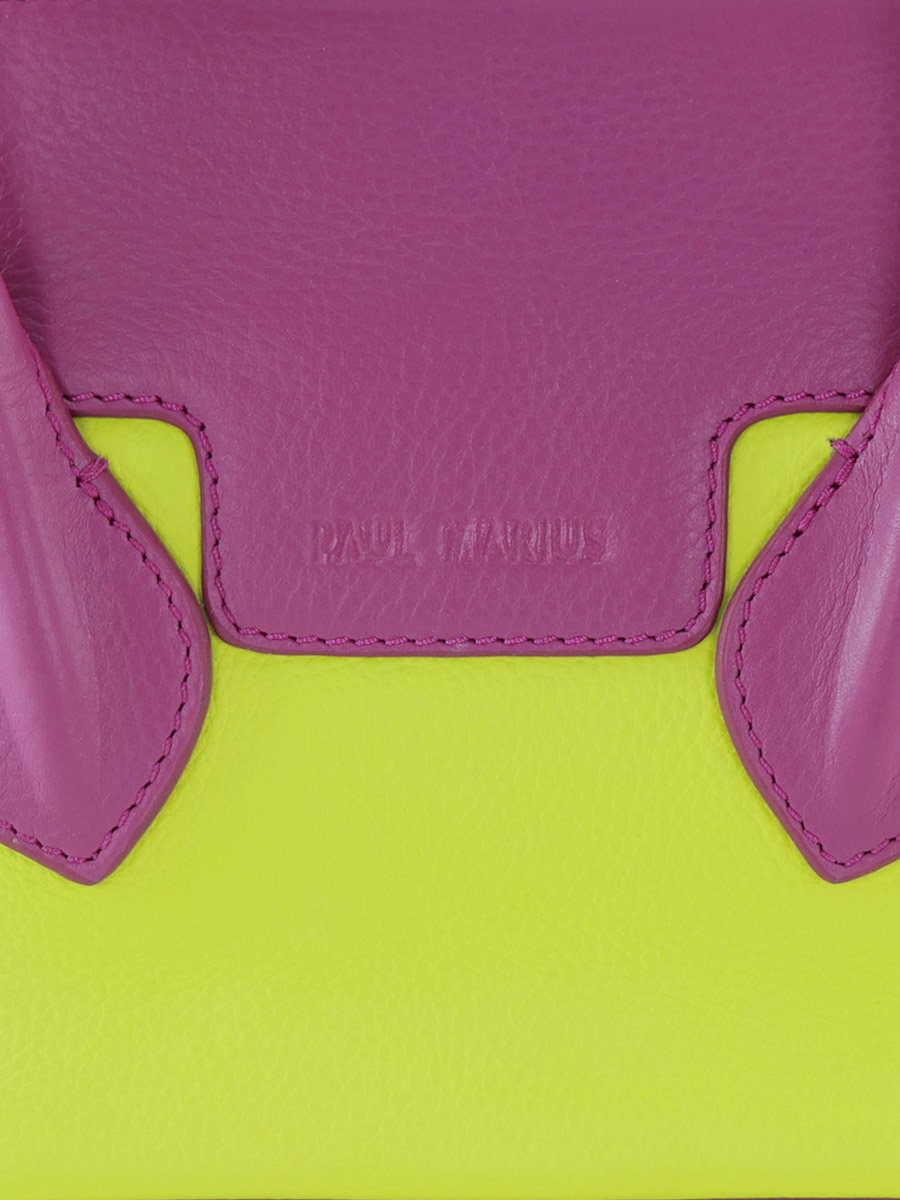 photo-focus-matiere-mini-sac-a-main-cuir-vert-violet-gisele-xs-sorbet-pomme-cassis-paul-marius-w32xs-sb-lgr-p