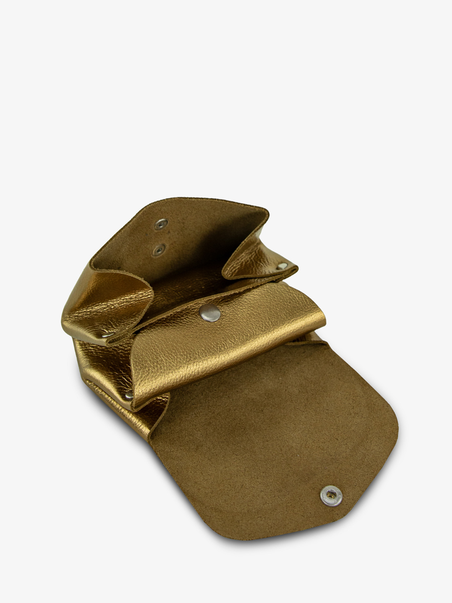 pochette-legustave-m-bronze-vue-interieure-clpm-og