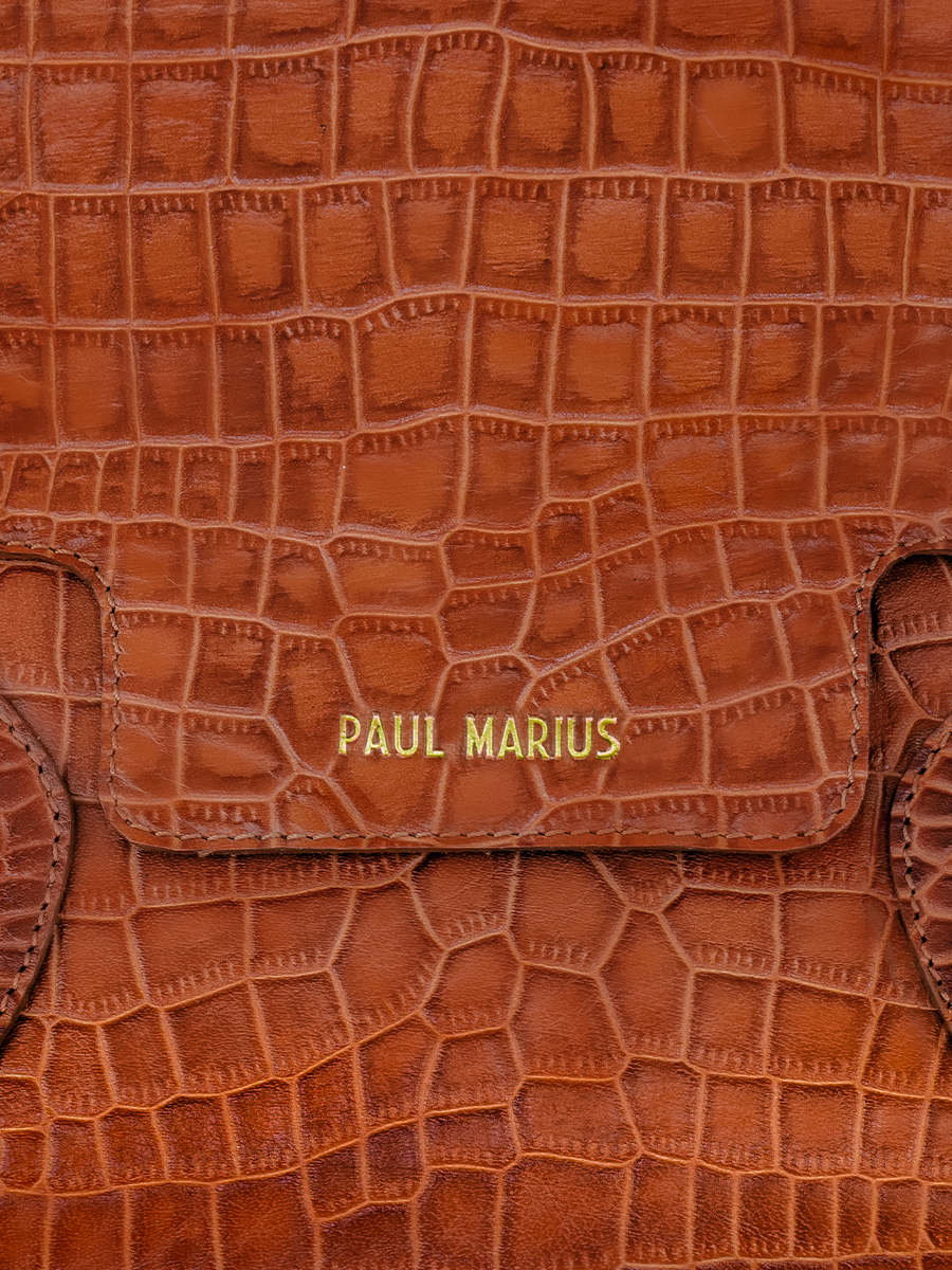 photo-matiere-sac-main-cuir-femme-madeleine-alligator-marron-paul-marius-w31-a-l