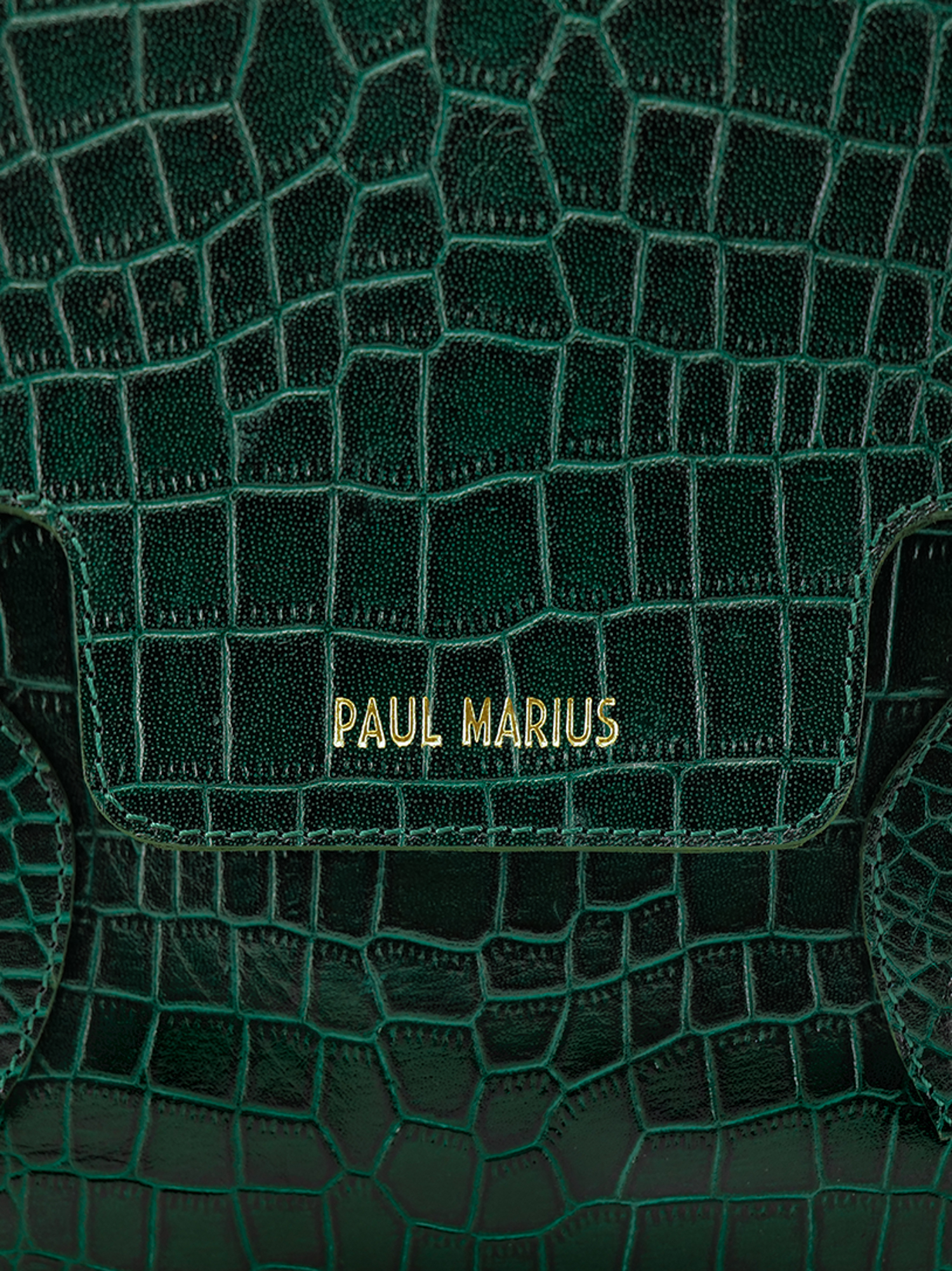 photo-matiere-sac-main-cuir-femme-madeleine-alligator-vert-paul-marius-w31-a-dg