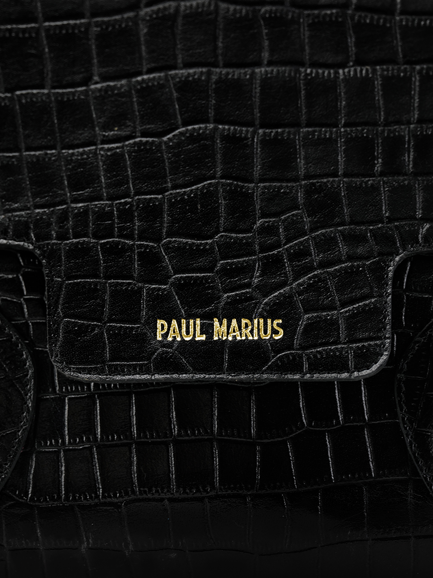 photo-matiere-sac-main-cuir-femme-madeleine-alligator-noir-paul-marius-w31-a-b