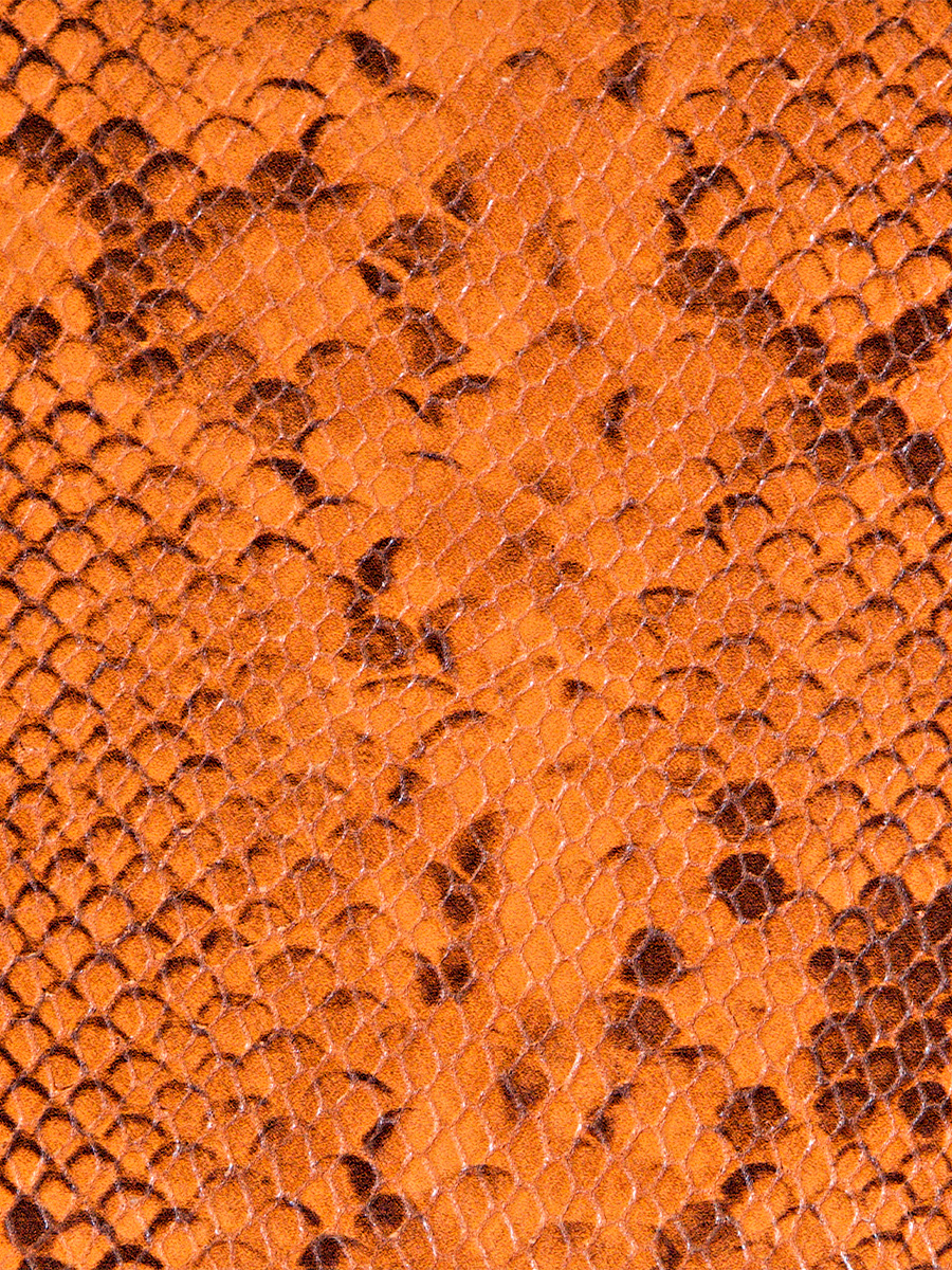 Portefeuille orange Valentine Python - Ambre vue interieure
