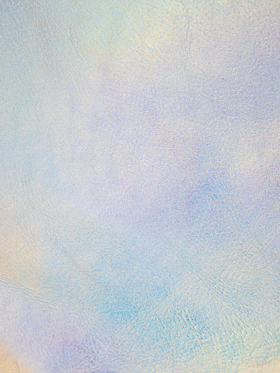 portefeuille-alice-givre-holographique-noir-vue-zoom-matiere-m76-giv