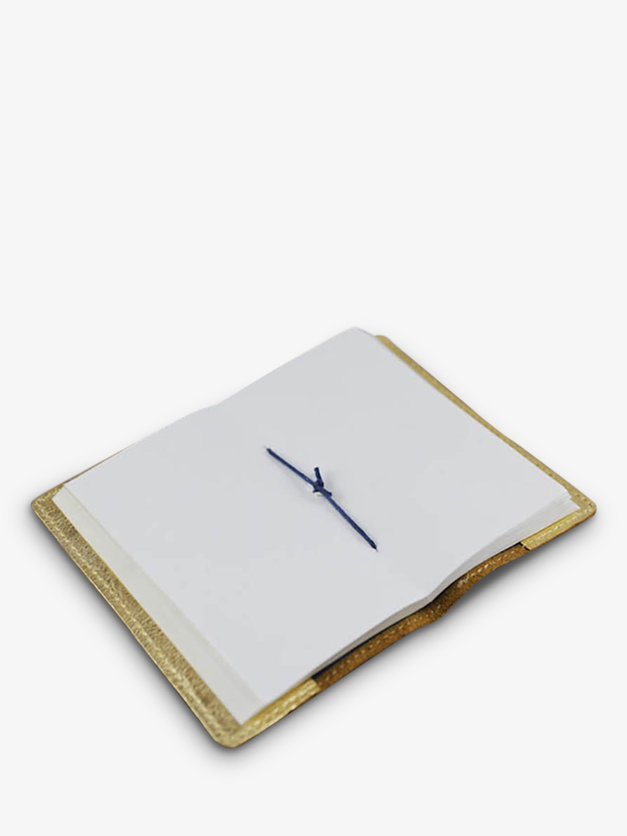 Paul sales marius carnet