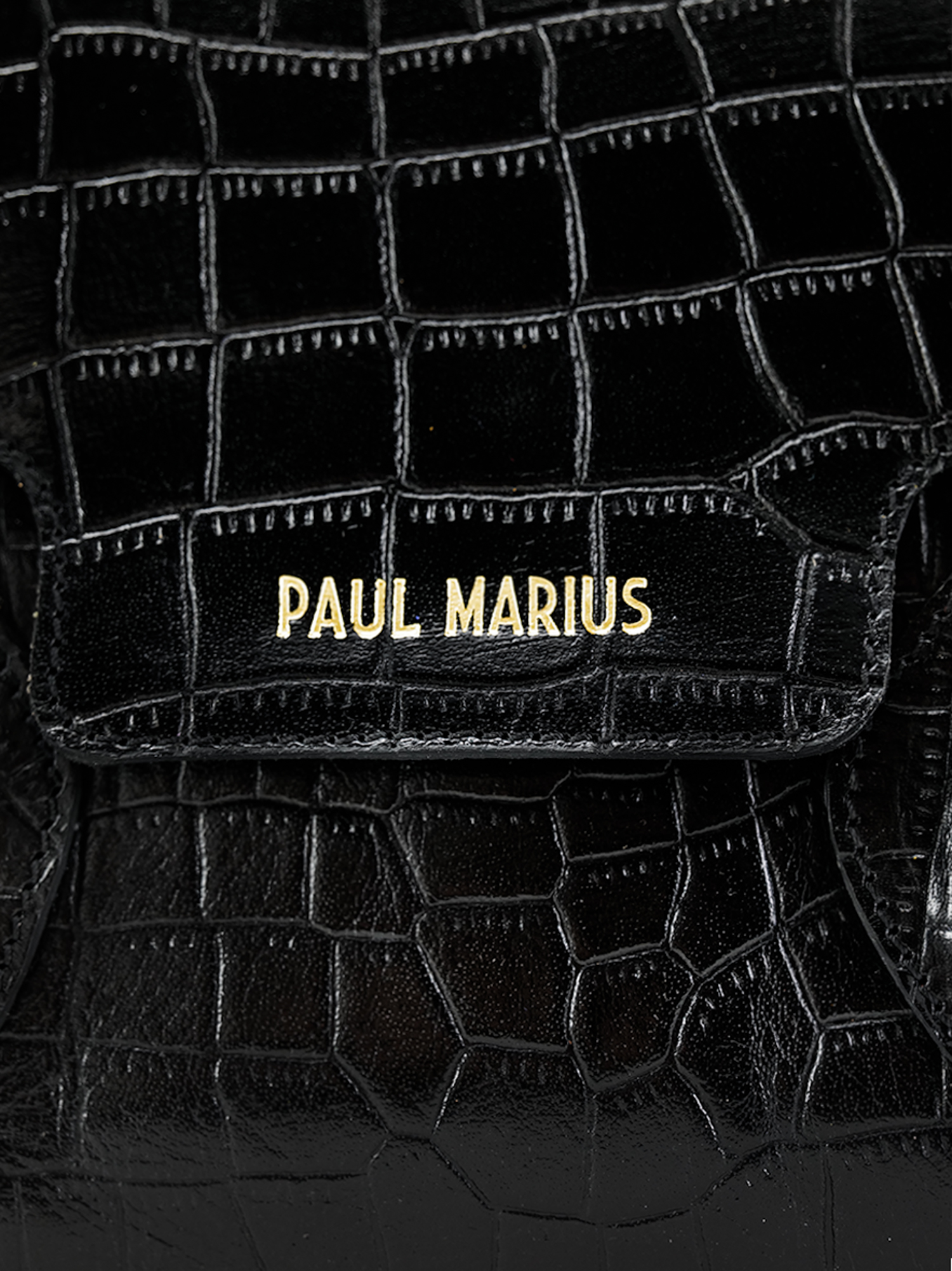 photo-matiere-sac-main-cuir-femme-colette-s-alligator-noir-paul-marius-w028s-a-b