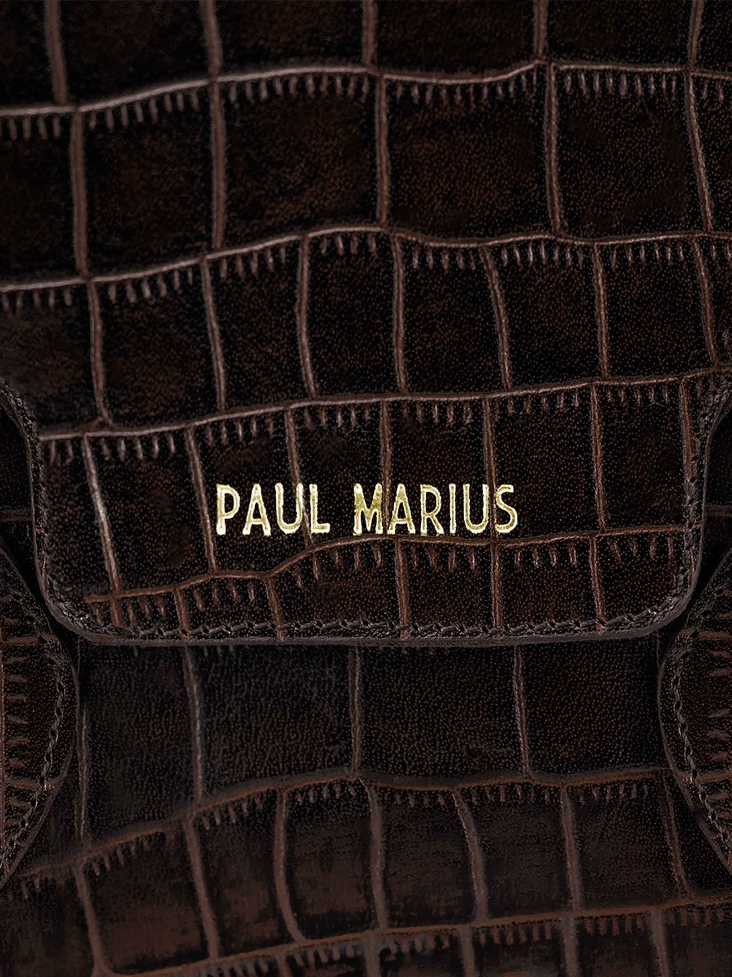 photo-matiere-sac-main-cuir-femme-colette-s-alligator-marron-paul-marius-w028s-a-db