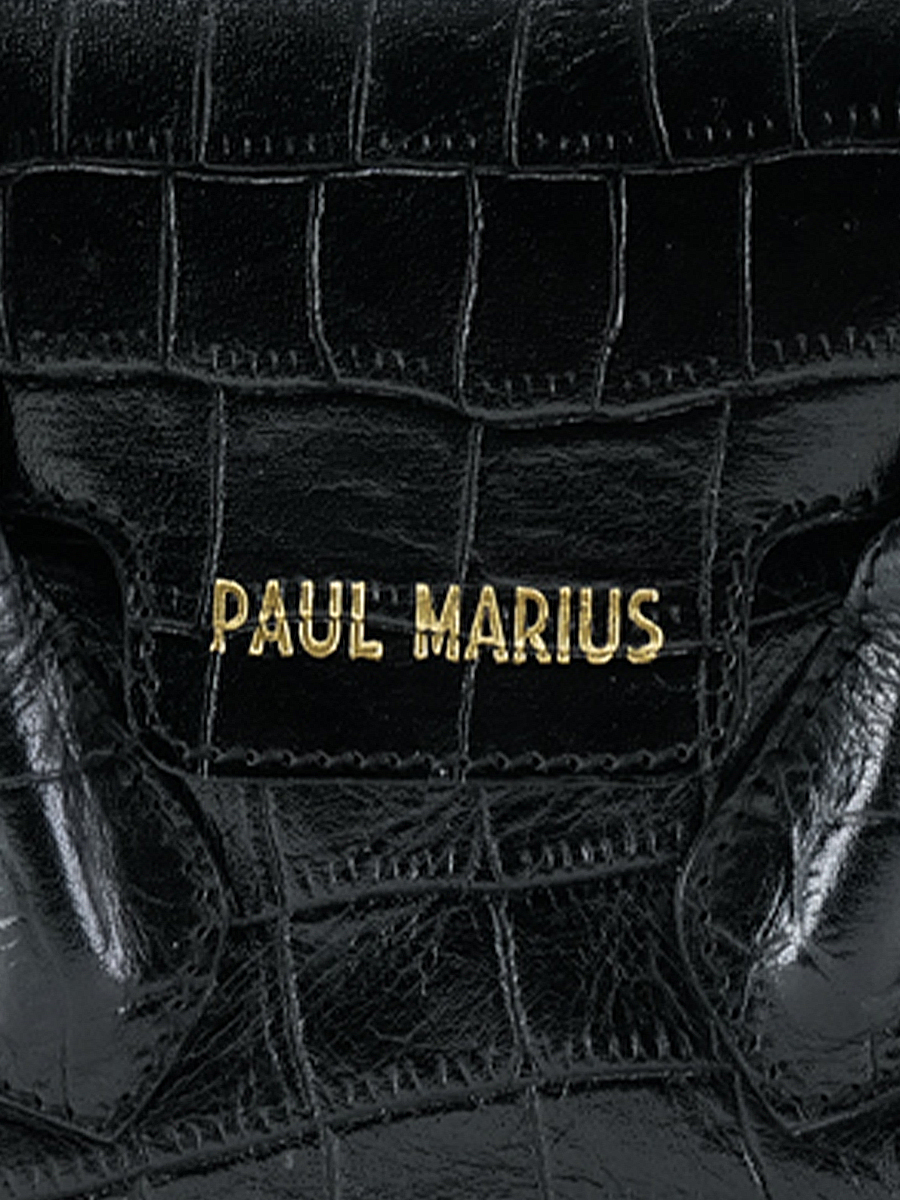 photo-matiere-sac-main-cuir-femme-colette-xs-alligator-noir-paul-marius-w28xs-a-b