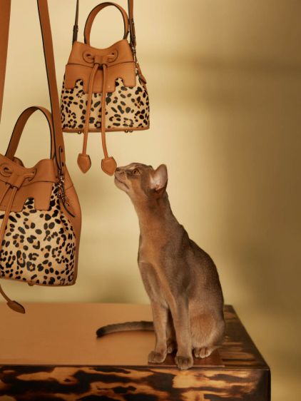 Capucine XS Léopard - Beige