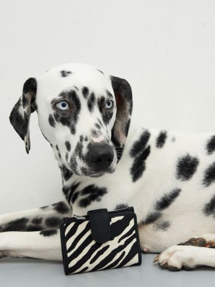 Valentine Tigre - Noir / Blanc