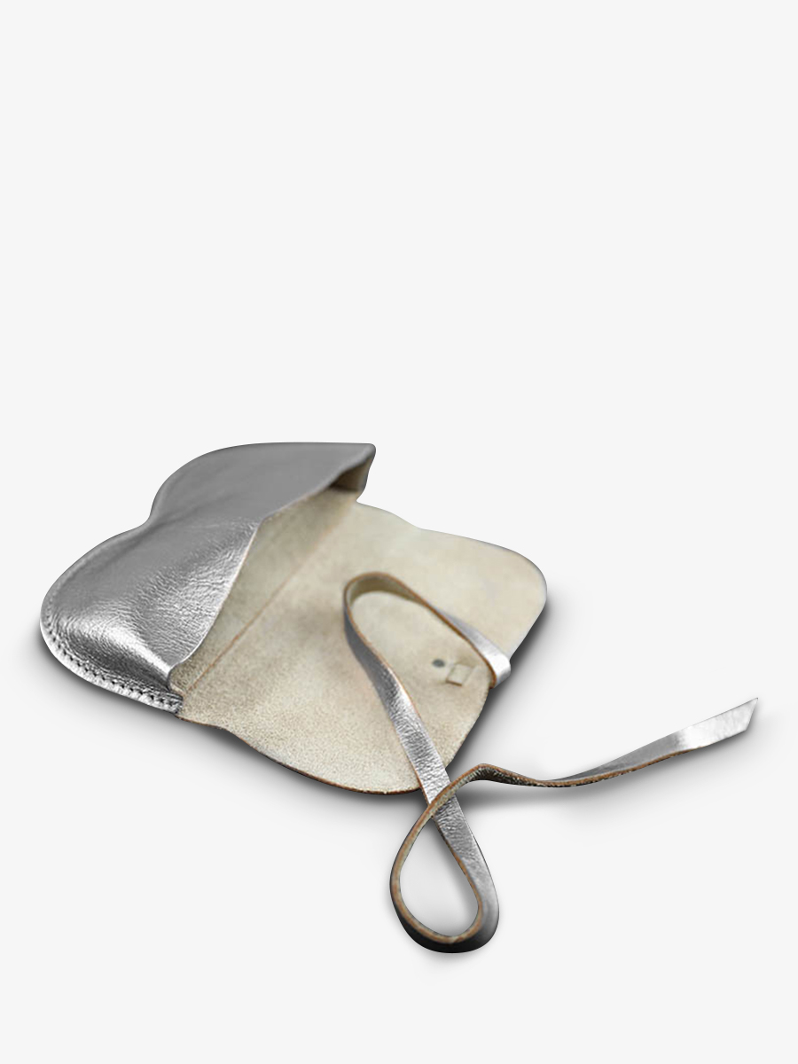 photo-vue-de-cote-etui-lunettes-cuir-argente-letui-a-lunettes-argente-paul-marius-m49-s