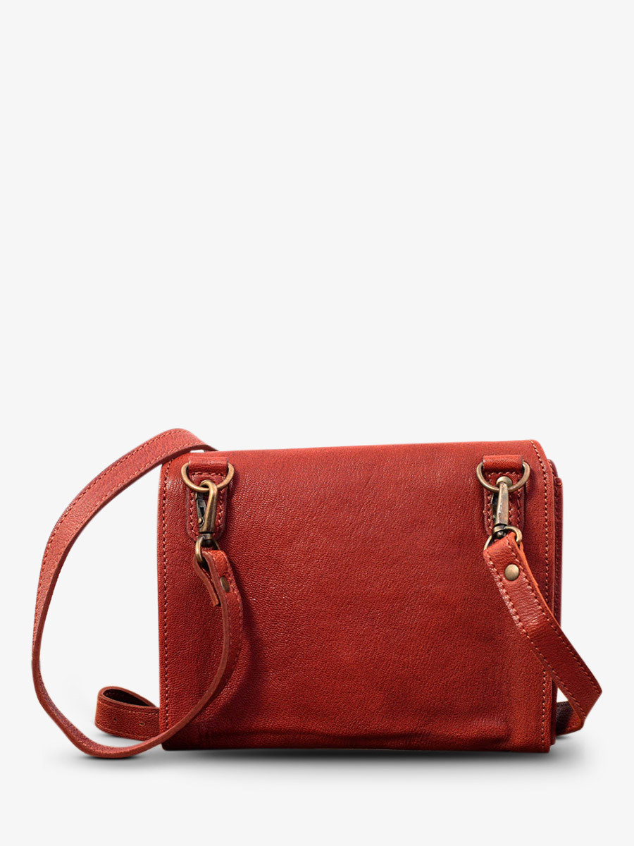 photo-vue-de-dos-sac-bandouliere-cuir-femme-marron-laminaudiere-brun-paul-marius-m301-mb