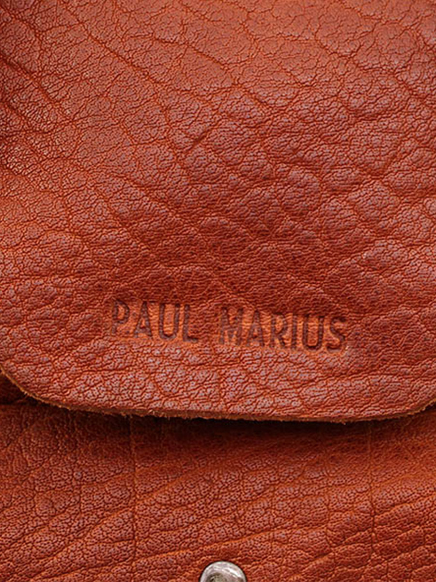 photo-matiere-sac-bandouliere-cuir-femme-marron-lerive-gauche-s-naturel-paul-marius-w01s-l