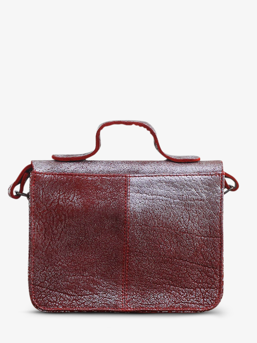 photo-vue-de-dos-sac-bandouliere-cuir-femme-argente-mademoiselle-george-brique-argente-paul-marius-w05-rs