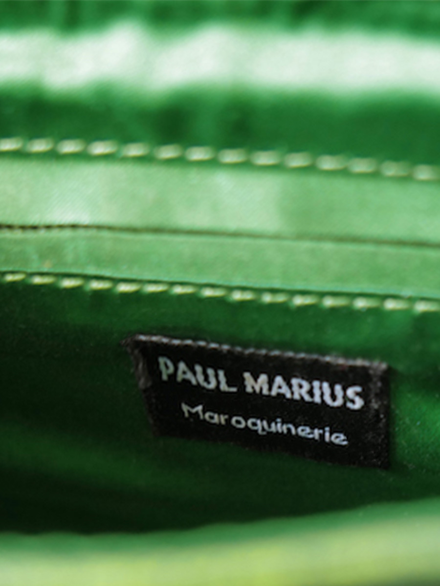 photo-interieur-sac-bandouliere-cuir-femme-vert-le-mini-indispensable-absinthe-paul-marius-w08s-gr-b