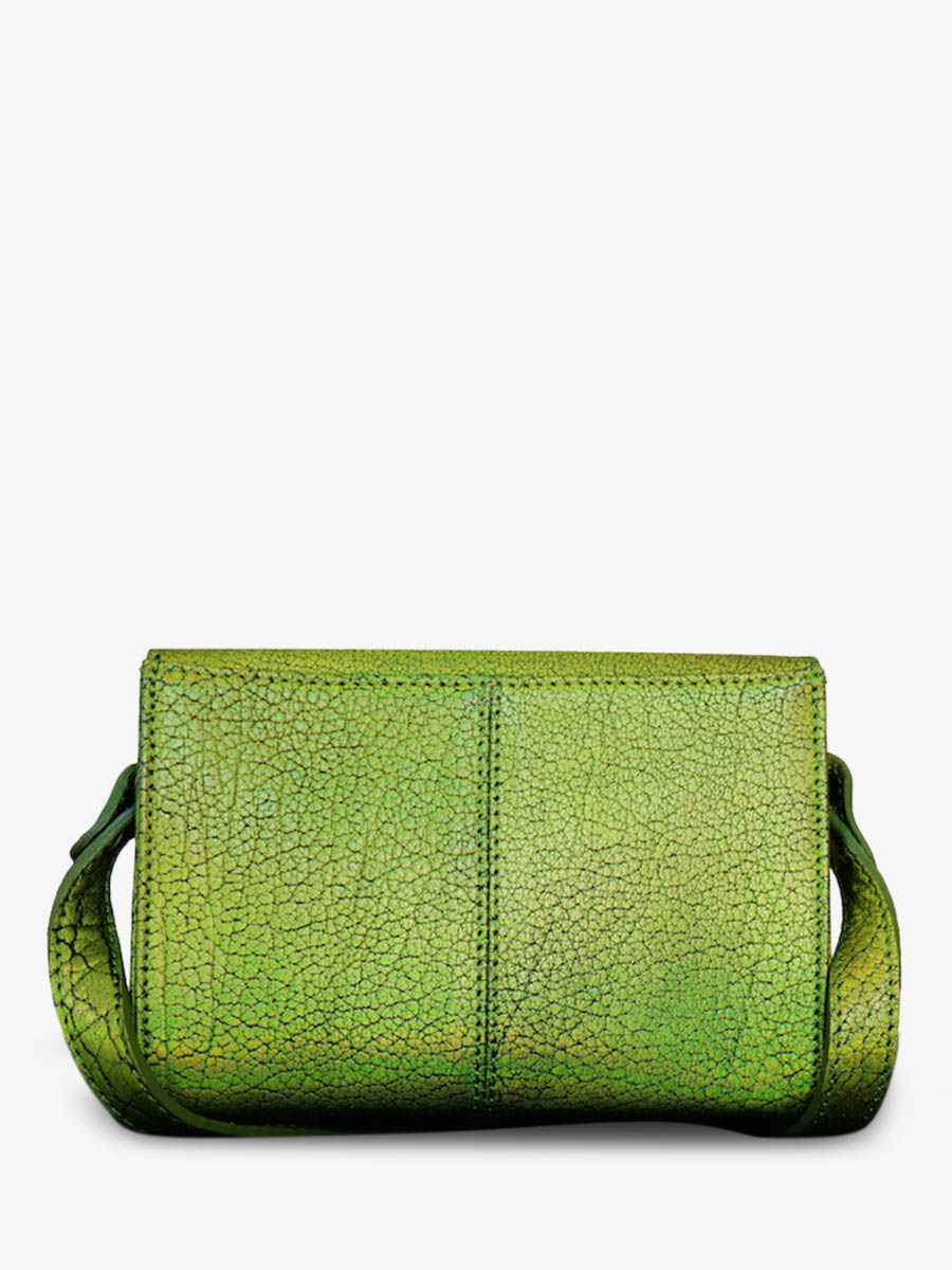 photo-vue-de-dos-sac-bandouliere-cuir-femme-vert-le-mini-indispensable-absinthe-paul-marius-w08s-gr-b