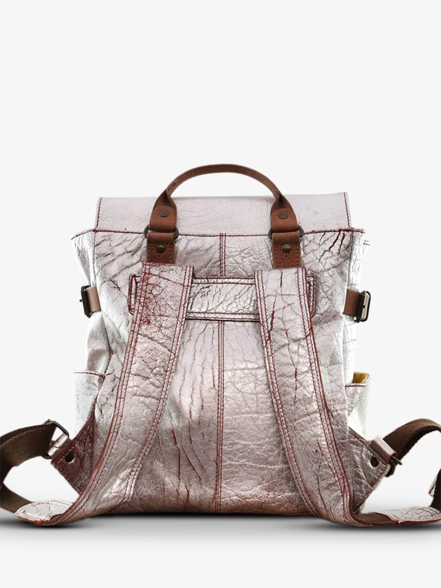 photo-vue-de-dos-sac-a-dos-en-cuir-argente-laudacieux-brique-argente-paul-marius-w14-rs