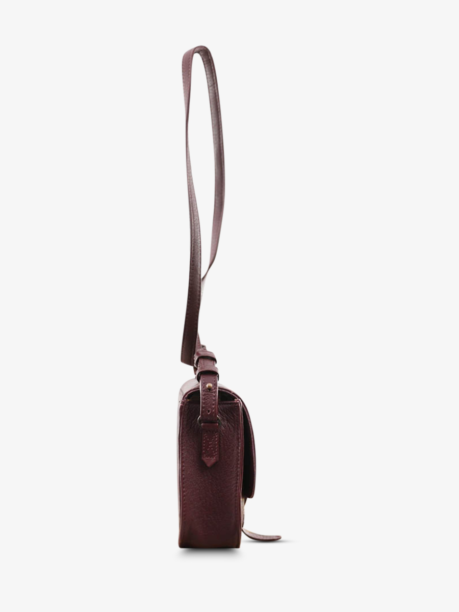 photo-vue-de-cote-sac-bandouliere-cuir-femme-violet-lidole-prune-paul-marius-w16-p