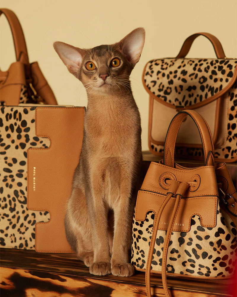 Leopard - Beige